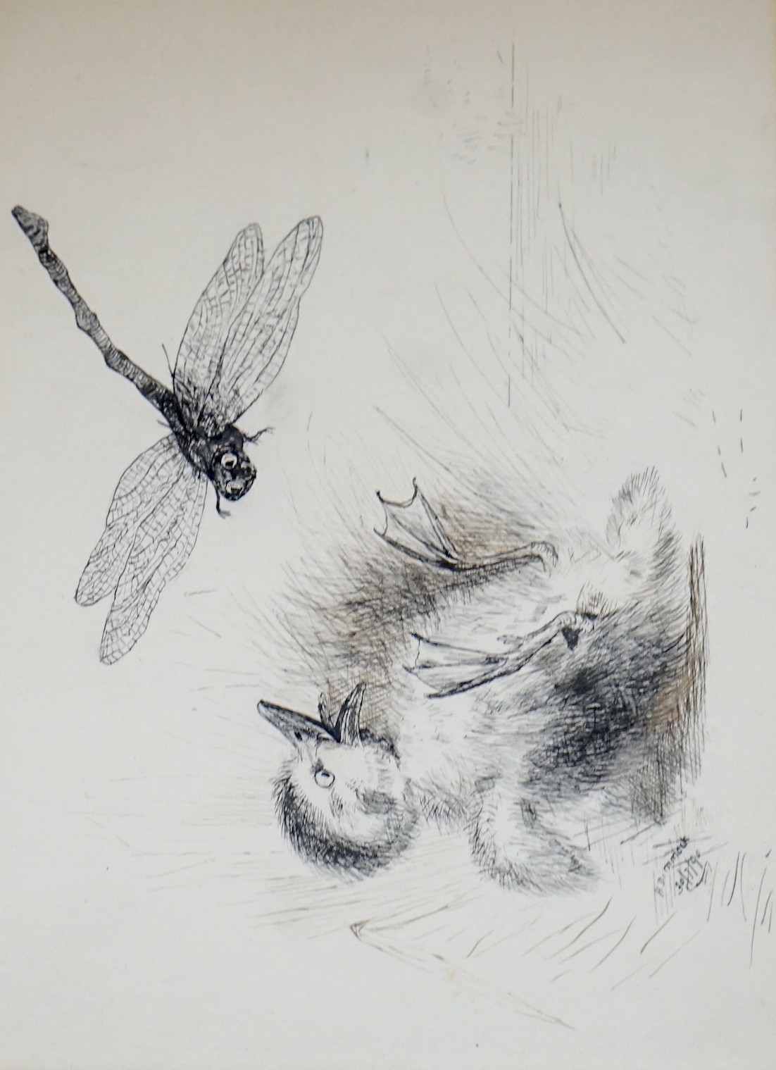 H. Dimmock, pen and ink, Duckling startled by a dragonfly, signed and dated 1990, 16 x 22cm